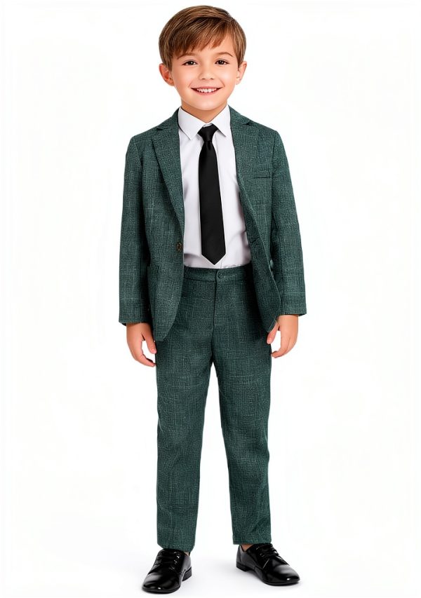 Pavo Monitor Arm Ergonomic Aluminum Desk Mount for